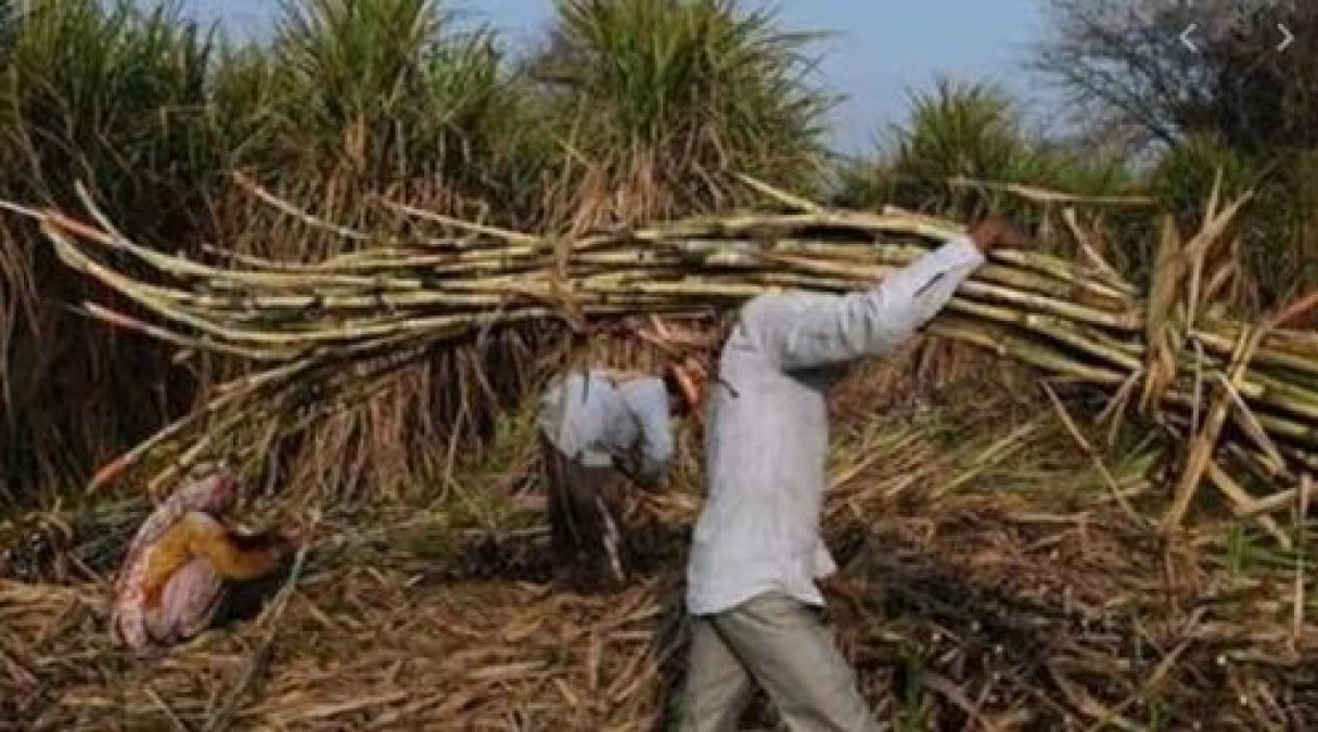 Budget 2020: Sugar industry and sugarcane farmers expect price policy changes