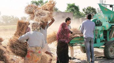 दाम बढ़ने से भी नाराज है किसान, जानिए एमएसपी के फॉर्मूलों को