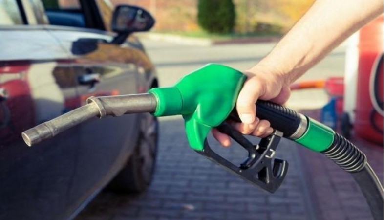 Diesel price rises, petrol prices remain stable for 19th consecutive day