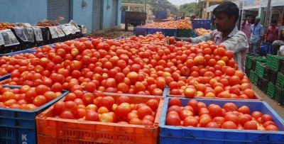 Tomato made life difficult for common man after petrol, flood of memes on social media