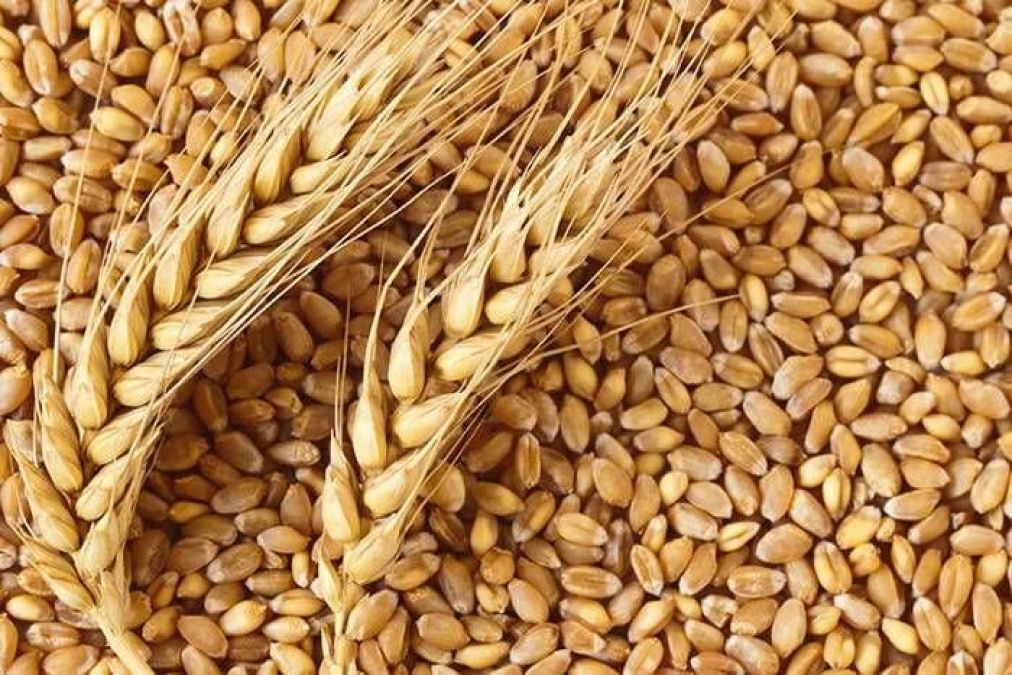 In the current season, Government procurement recorded  337 lakh tonnes of wheat