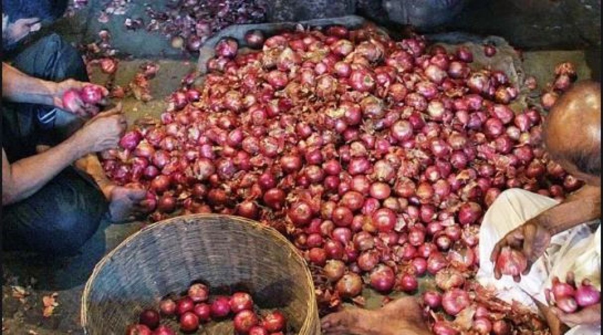 Onion prices come up again, MMTC tenders continue
