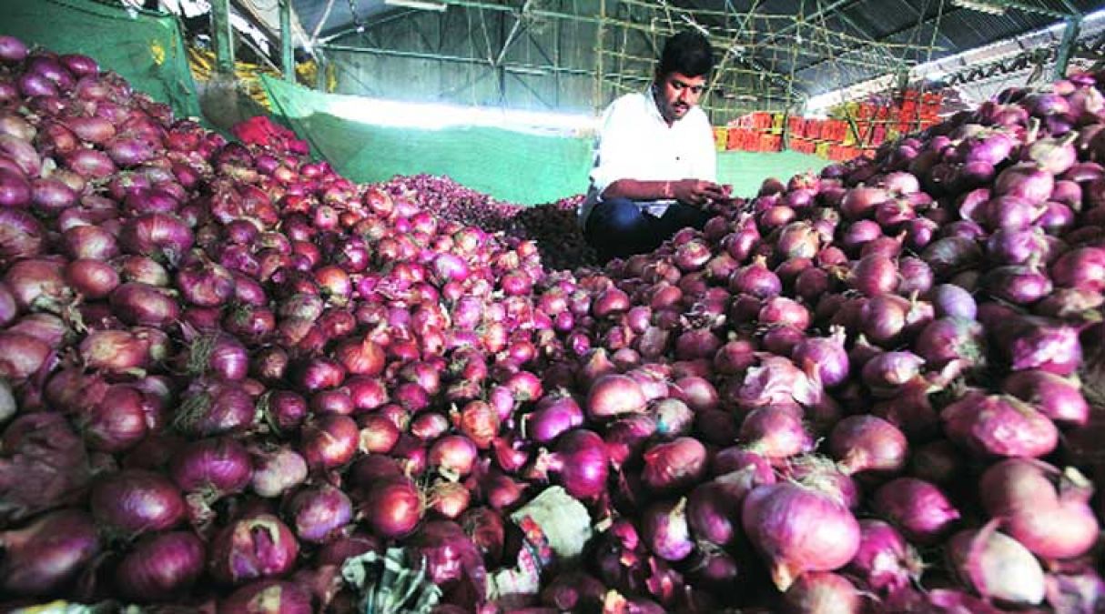Onion prices may fall; 6,090 tonnes consignment coming soon from Egypt
