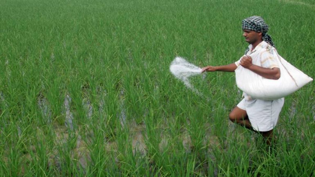 Relief to farmers, IFFCO cuts retail price of fertilizers by Rs 50
