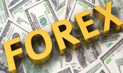 India's forex reserves at record high, increased by $ 17 billion this week