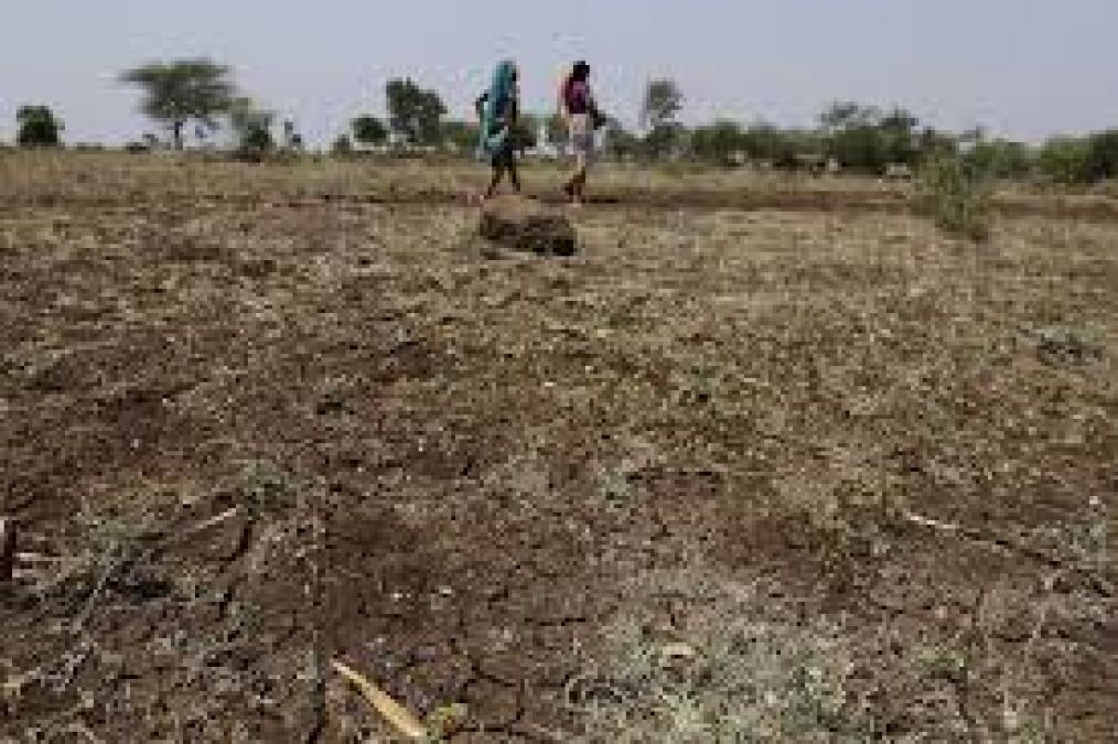 Kharif yields may fall, Know reason