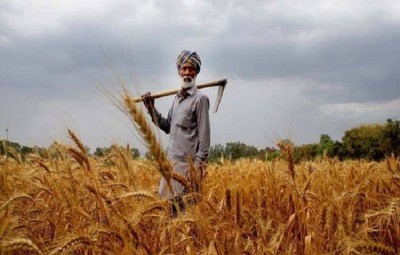 Farmers forced to destroy their crops in Rae Bareli, due to 'Power Crisis'
