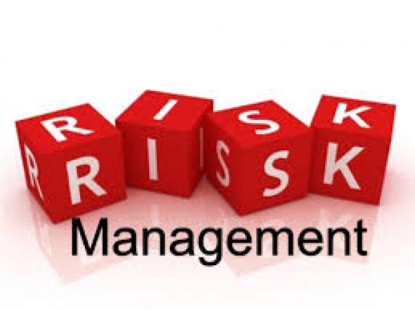 जोखिम प्रबंधन के लिए अपने निवेश पोर्टफोलियो में विविधता कैसे लाएं ?