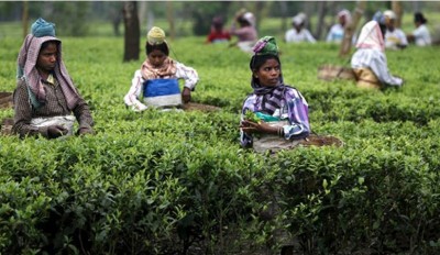 Govt implementing scheme to promote tea sector: Anupriya Patel