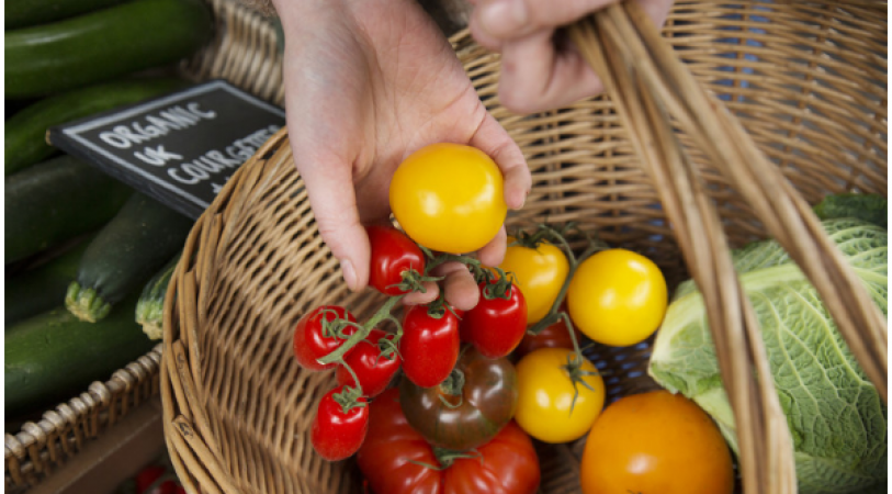 Vegetable shortages of food starts in British supermarkets