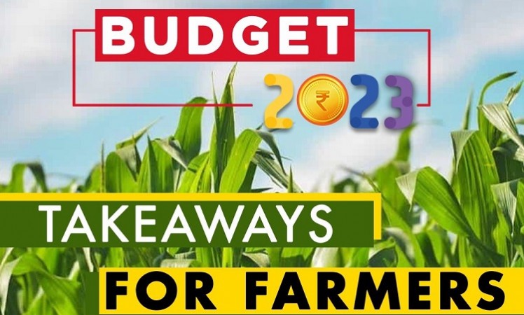 Budget 2024-25: Agriculture, Healthcare Sectors Await Attention