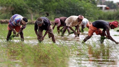 Retail inflation for farm, rural workers scale up in June