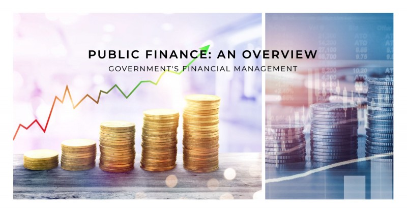 Public Finance: An Overview of Government's Financial Management