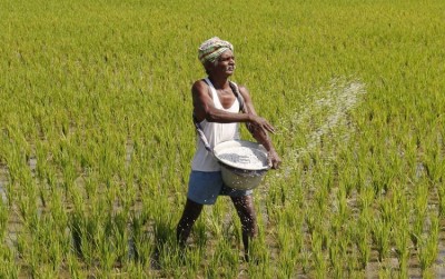 किसानों की आय बढ़ाने के लिए किसान उत्पादक ओआरजी की जरूरत: ग्रांट थॉर्नटन भारत रिपोर्ट