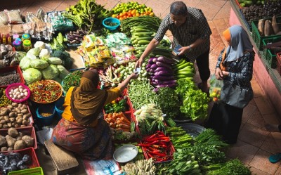Inflation in WPI fell to 12.96 pc in January, despite rising food costs