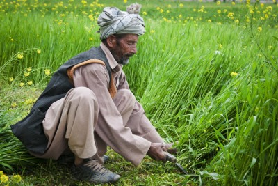 14 मई को पीएम किसान योजना की 8वीं किस्त जारी करेगी सरकार