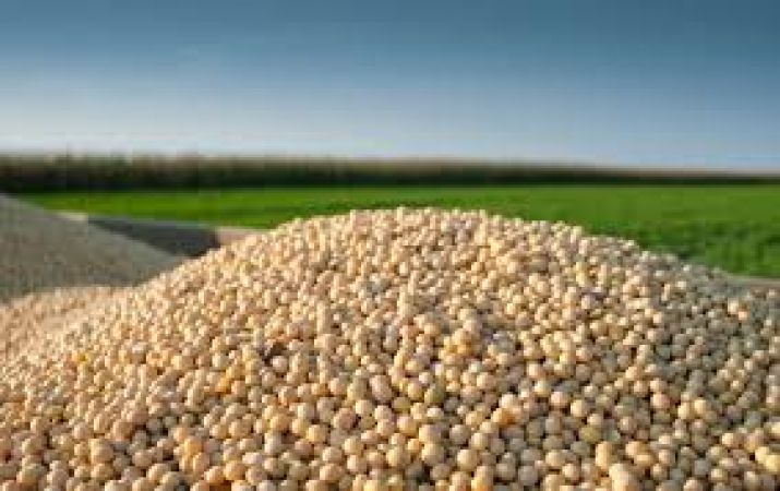 Angel Commodities: Soybean futures are expected to trade sideways
