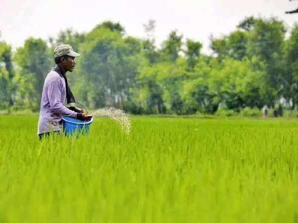 India’s fertiliser subsidy set to touch record Rs 1.65 L cr in FY23