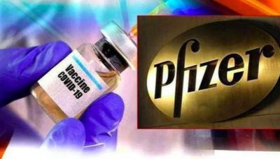 Pfizer shares fall after it reported Q4 profit declines 2 pc to Rs 100 cr