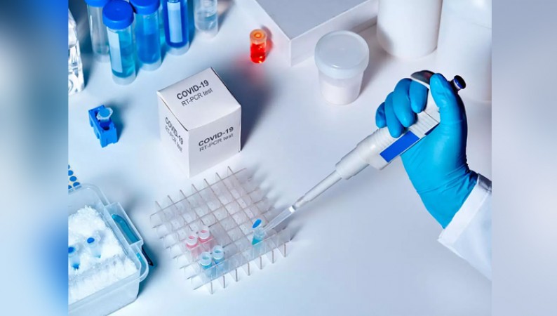 Cadila share price sparkles on hopes of COVID-19 vaccine by March 2021