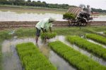 मानसून के चलते भारत के खाद्यान्न उत्पादन में आई कमी