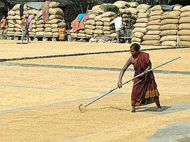 If global food prices double, India might lose 49 Billion Dollars In GDP: UN report