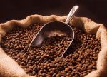 कॉफी के एक्सपोर्ट में नजर आई गिरावट