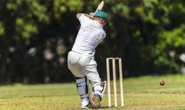 Do you want to be a 'cricketer'? So know these important things