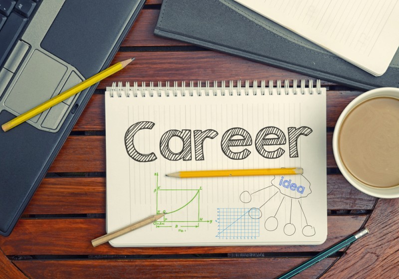 If you also have good hold in Hindi language, make a career in these 10 fields