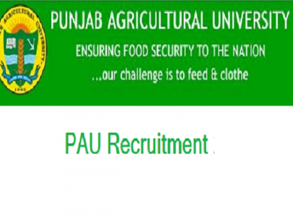 पंजाब एग्रीकल्चरल यूनिवर्सिटी में आई वैकेंसी के लिए 10 वीं /12 वीं पास करें अप्लाई