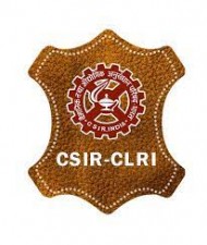 Apply for jobs in these posts of CLRI today