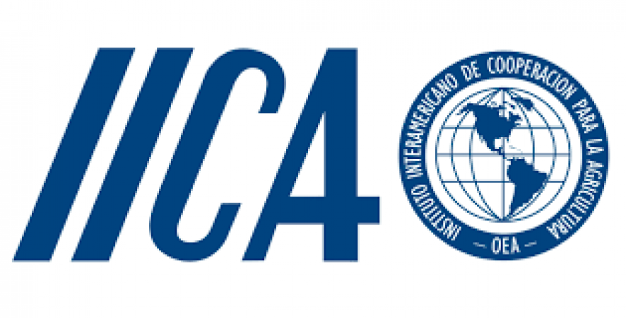 Get attractive salary in this post in IICA