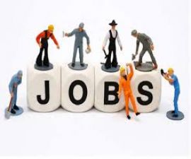 हरियाणा में 250 से अधिक पदों पर सरकारी नौकरी, युवा जल्द करें आवेदन