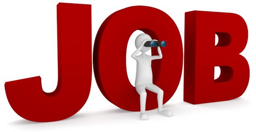Job opening for post of domain analyst, salary Rs. 50,000