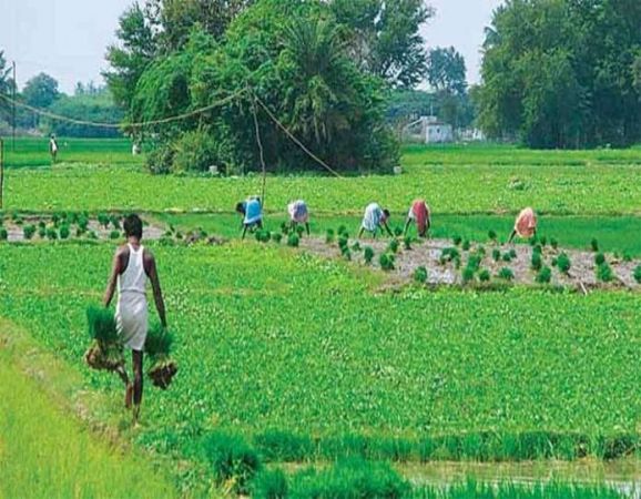 65 हजार रु सैलरी, कृषि निदेशक Gujarat में होगी भर्तियां