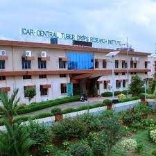 Get attractive salary for this post in CTCRI, apply soon