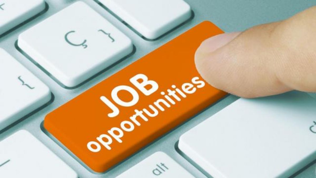 Job openings for the posts of stenographer and technician; Apply soon