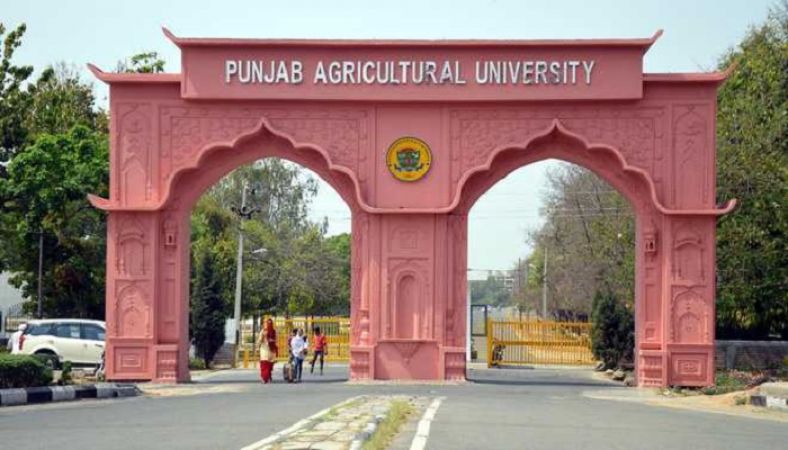 Punjab Agricultural University में वैकेंसी, आज ही करें अप्लाई