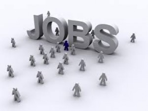 Job opening for posts of Senior Project Scientist, salary Rs 81000