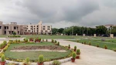 IIT Kanpur में निम्न पदों पर जॉब ओपनिंग, जानें क्या है अंतिम तिथि