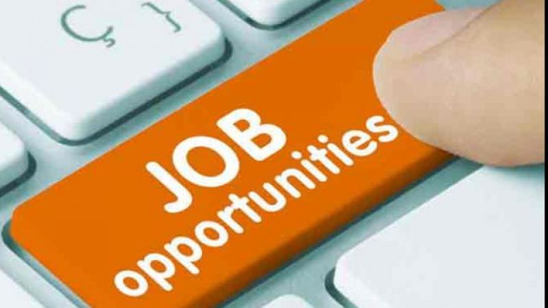 जिला ग्रामीण विकास एजेंसी DRDA Jobs Recruitment