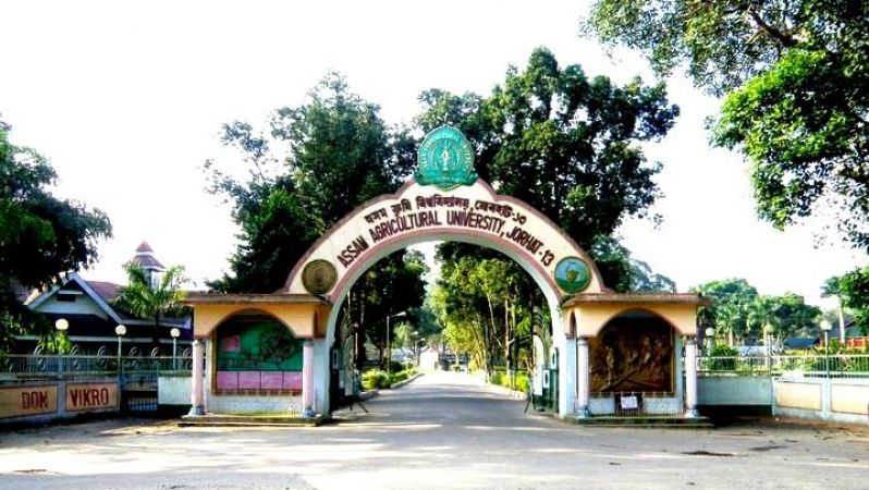 असम कृषि विश्वविद्यालय में होगीं भर्तियां