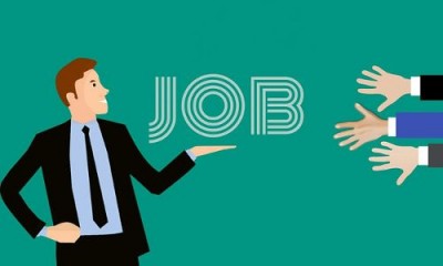 Job openings for the posts of exam controller and system analyst, apply soon