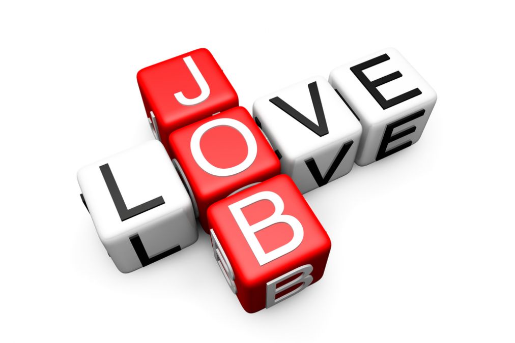 Job openings for the posts of project assistant and field worker, know the selection process