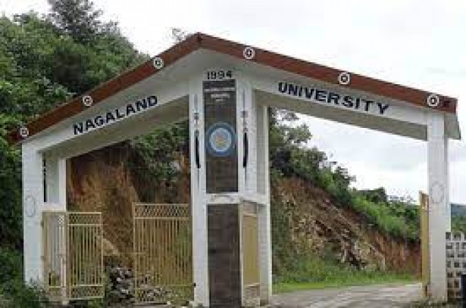 Nagaland यूनिवर्सिटी में इस पद के लिए जारी किए गए आवेदन