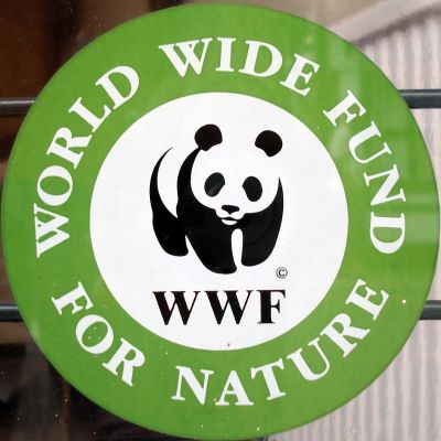 WWF इंडिया में नौकरी का सुनहरा अवसर, शीघ्र करे आवेदन