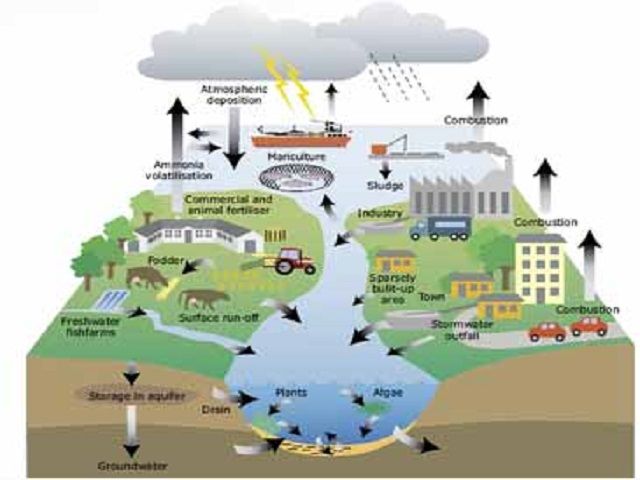 पर्यावरण प्रदूषण:  प्रकार, प्रभाव, कारण तथा उपाय को जानना हे बेहद जरूरी