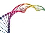 करंट अफेयर्स : वैज्ञानिकों ने एक्स–फाइल से डीएनए अणु को दूर करने की प्रक्रिया जानी