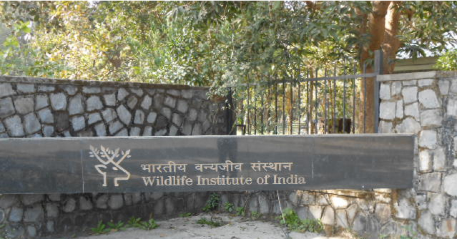 भारतीय वन्यजीव संस्थान में scientist के पद के लिए vacancy