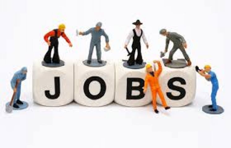 Lok Sabha recruitment 2016; Apply for Casual Labourer posts !